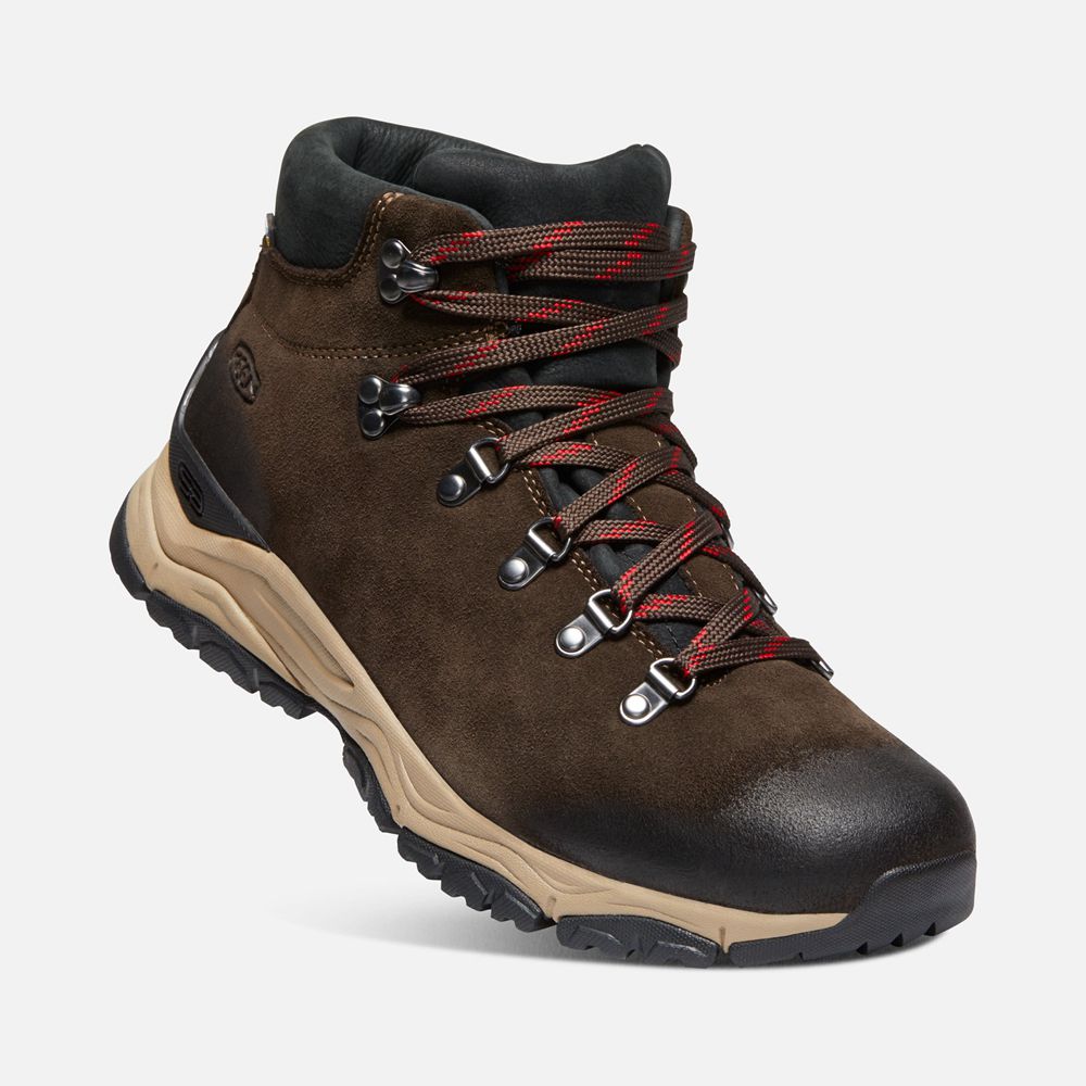 Keen Outdoor Bot Erkek Kahverengi - Feldberg Apx Waterproof - Türkiye NKPX72896